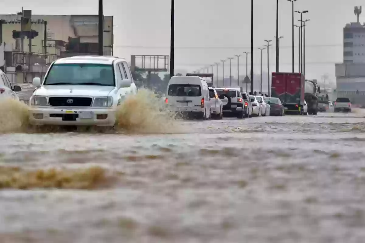 أمطار رعدية ورياح قوية وضباب لا ينتهي على تلك المناطق