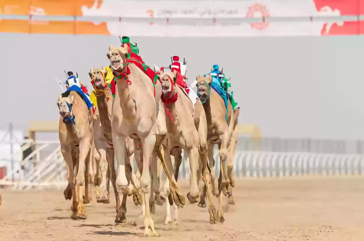 فوز غرفة مكة ومهرجان ولي العهد بجائرة التميز الاقتصادي