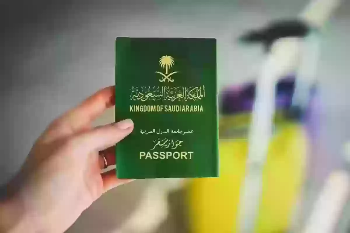 رابط انجاز دفع رسوم visa.mofa.gov.sa خطوة بخطوة