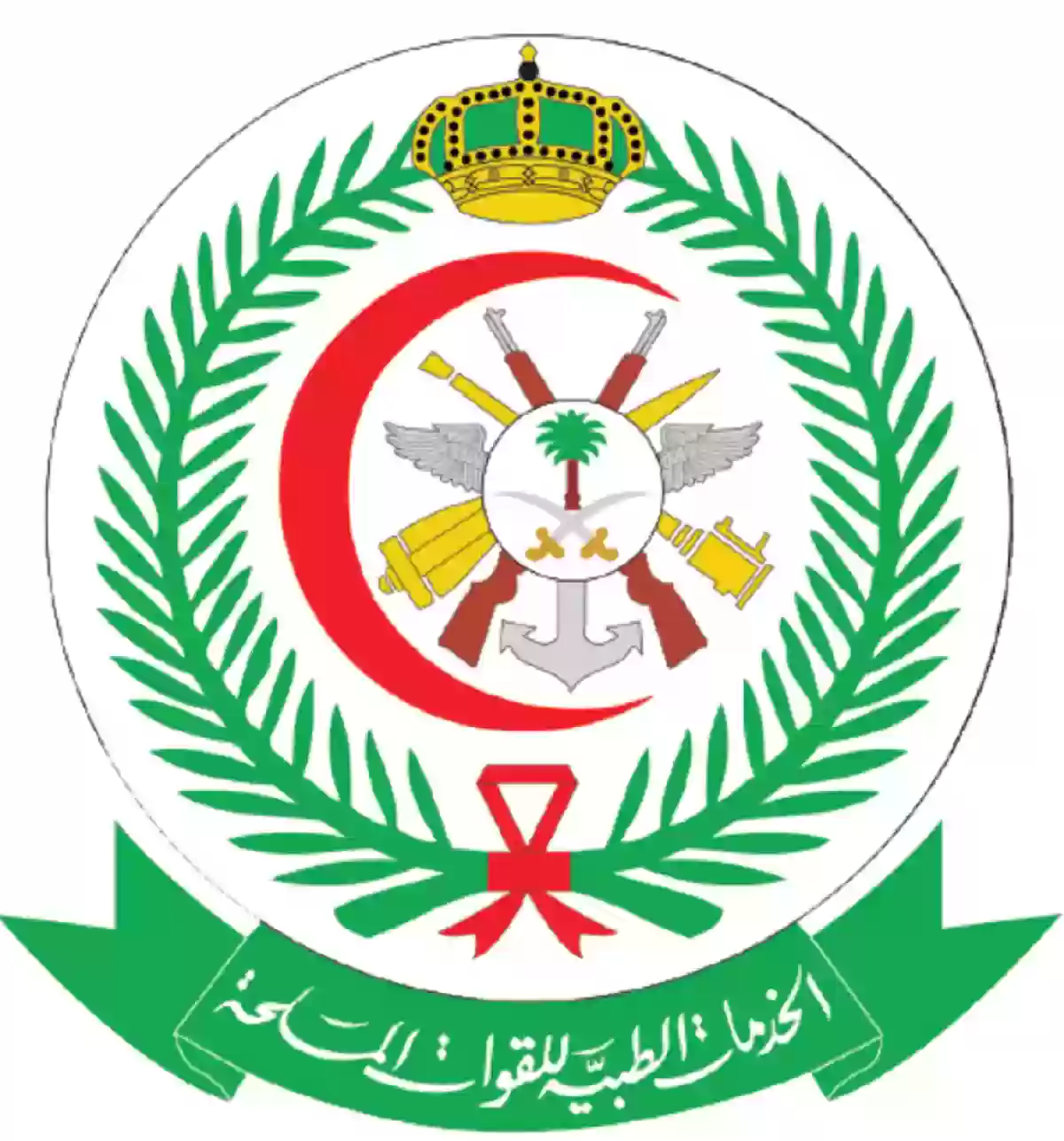 الخدمات الصحية وزارة الدفاع