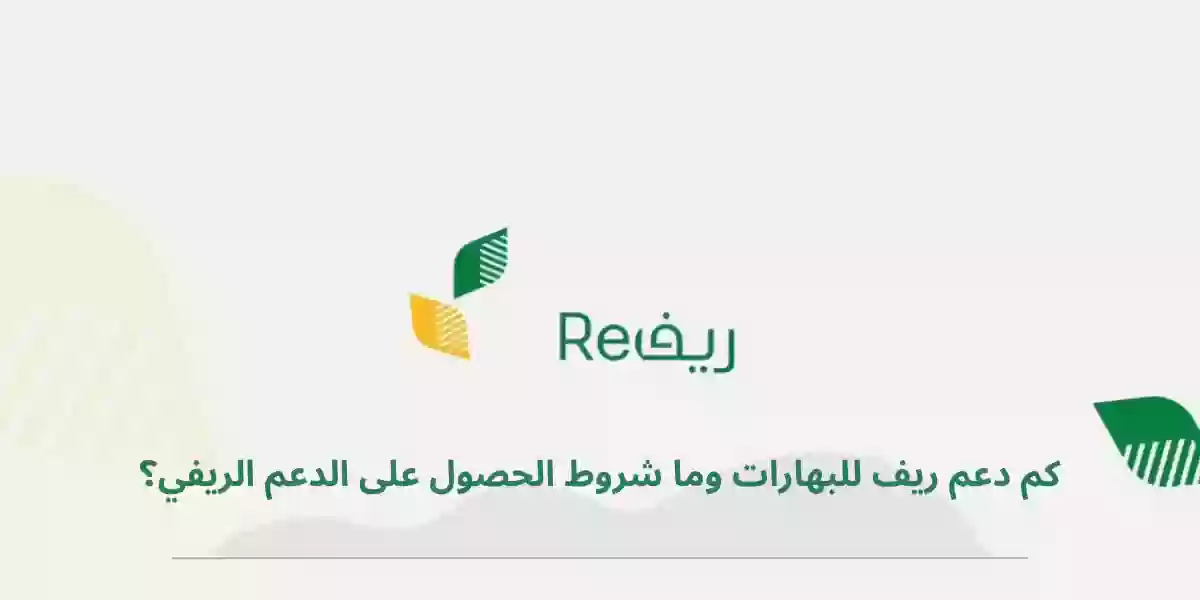 كم دعم ريف للبهارات 