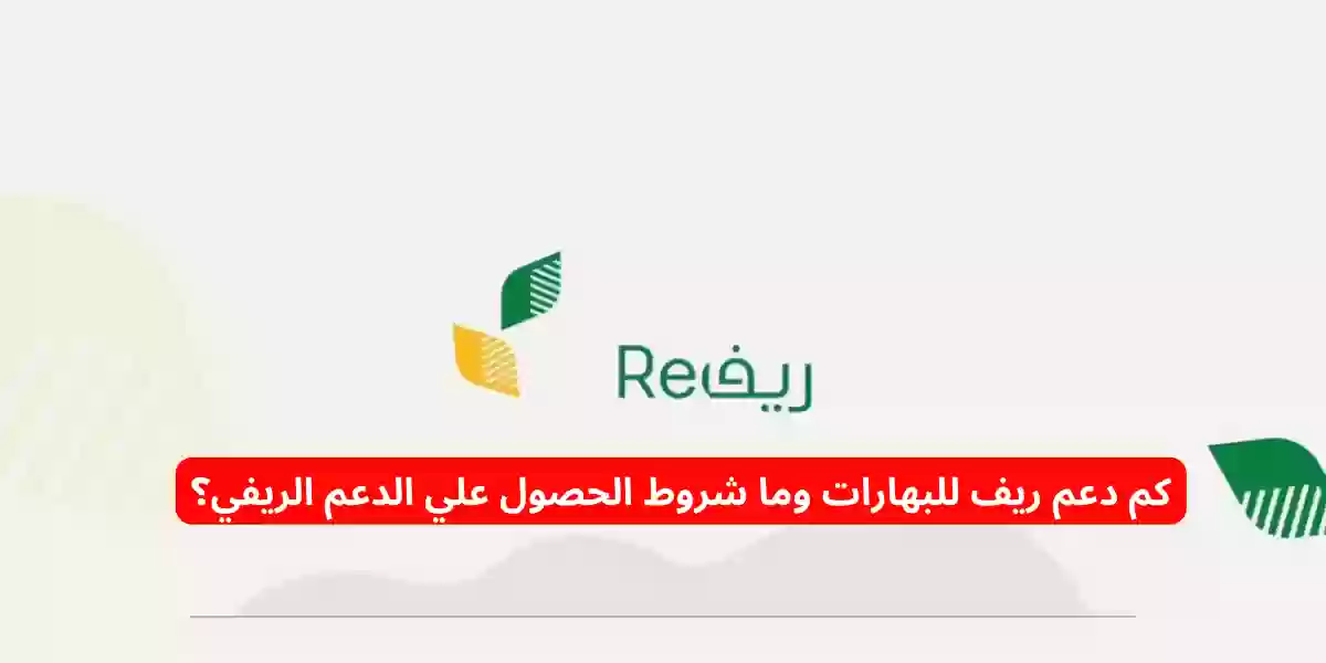 كم دعم ريف للبهارات