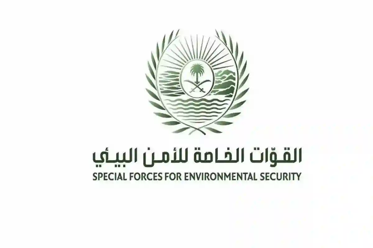 حياتك في خطر وأموالك تخسرها بسبب الغرامة
