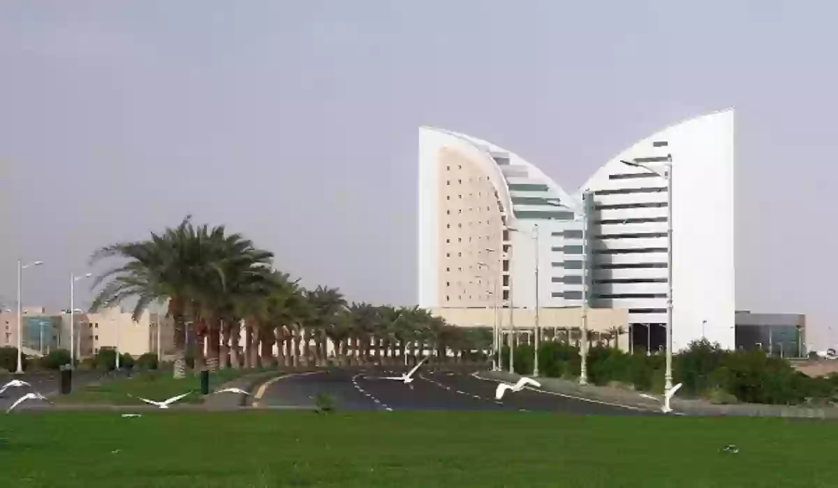 جامعة نجران